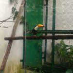 Parque Zoobotânico e Orquidário Municipal de Santos