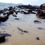 Praia do Matadeiro