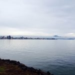 Trapiche da Beiramar