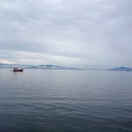 Trapiche da Beiramar