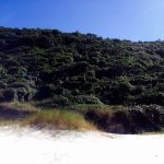 Praia da Galheta