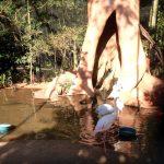 Parque das Aves