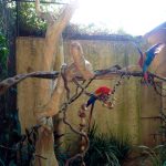 Parque das Aves
