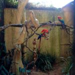 Parque das Aves