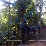 Parque das Aves