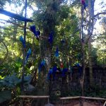 Parque das Aves