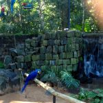 Parque das Aves