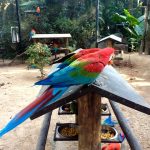 Parque das Aves