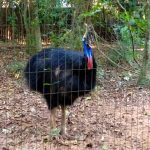 Parque das Aves