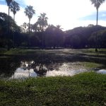 Parque Farroupilhas
