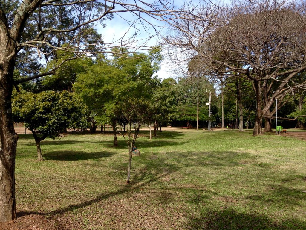 Desbravando as Américas