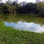 Parque Moinhos de Vento