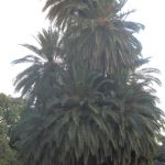 Parque 3 de Febrero