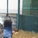 Zoo de Luján