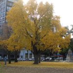 Plaza Republica Oriental del Uruguay