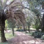 Parque Municipal Benito Solaris