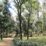 Parque Municipal Benito Solaris