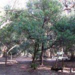 Parque Municipal Vivero Cosme Argerich