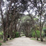 Parque Municipal Vivero Cosme Argerich
