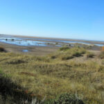 Desbravando as Américas