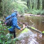 Parque Nacional Huerquehue
