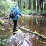 Parque Nacional Huerquehue
