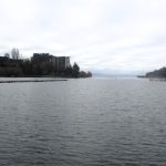 Lago Villarica