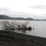Playa Grande