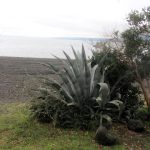 Playa Grande