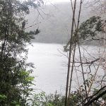 Parque Nacional Huerquehue