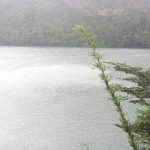 Parque Nacional Huerquehue