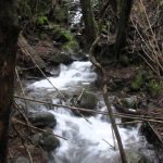 Parque Nacional Huerquehue