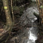 Parque Nacional Huerquehue