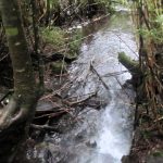 Parque Nacional Huerquehue