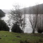 Parque Nacional Huerquehue