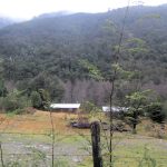 Parque Nacional Huerquehue