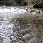 Parque Nacional Huerquehue