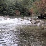 Parque Nacional Huerquehue