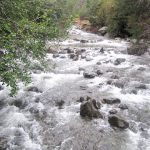 Parque Nacional Huerquehue