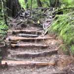 Parque Nacional Huerquehue