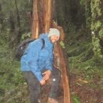 Parque Nacional Huerquehue