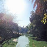 Parque Rodó
