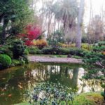 Jardín Japonês