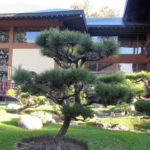 Jardín Japonês