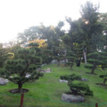 Jardín Japonês