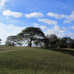 Parque San Carlos