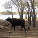 San Clemente del Tuyú - 155