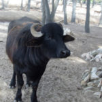 San Clemente del Tuyú - 156