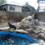 San Clemente del Tuyú - 185