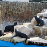 San Clemente del Tuyú - 187